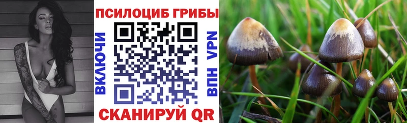 цена наркотик  блэк спрут зеркало  Галлюциногенные грибы мухоморы  Зуевка 