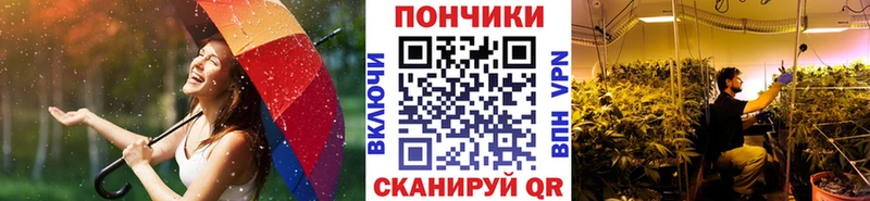 МАРИХУАНА конопля  Зуевка 